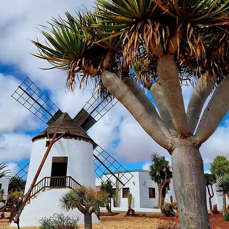 Casa Del Mar Air - Conditioned With Pool Views - Playa Corralejo