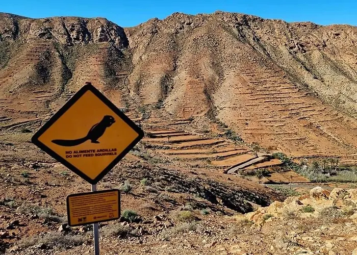 Casa Del Mar Air-conditioned With Swimming Pools - Playa コラレホ